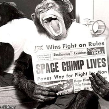 spacechimp64