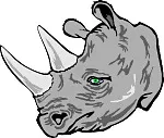 Rhino_3s4