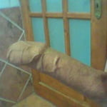 Big_Joe23
