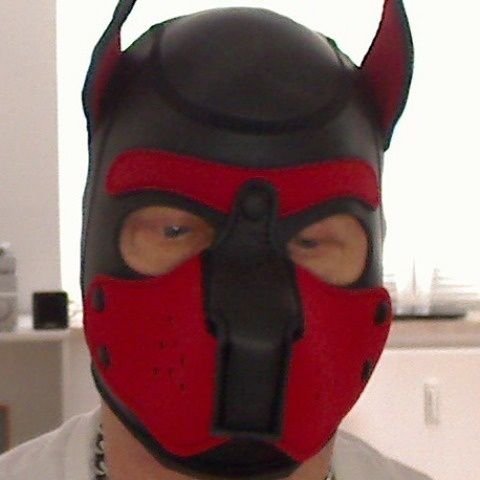 Rubberffdoggy