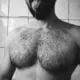 hairymuscleBR