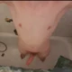 Pumpkinphil_TTV