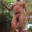 ghansyam12