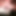 pccockyes1