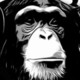 Funkymonkey696