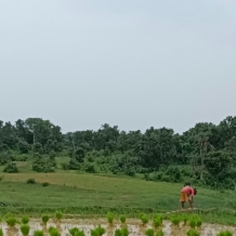 P_Star_23