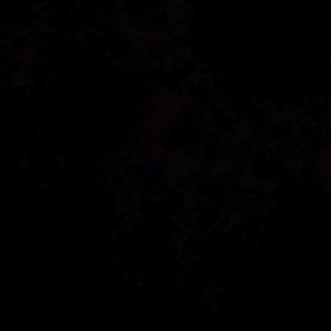 Vfdct