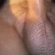 misesso69