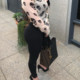 michellebabydoll