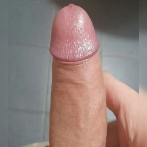 pijarosadita