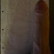 simon_p5568