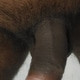 LustfulMatureManSex