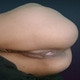 Desihot12kb