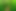 forestlover123
