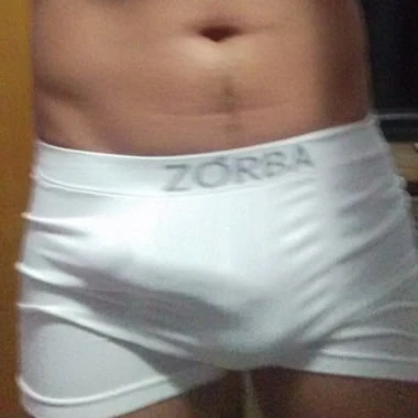 cachorro_bh
