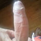 stefce_sk