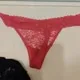 bearinpanty