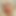 moe_798