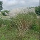 Subho2769