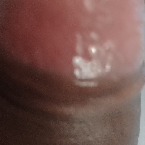 PureHead16