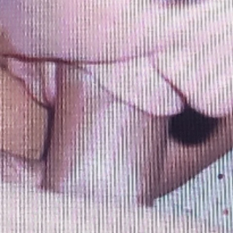 Wackocuming