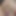 CloseUpFantasy