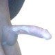 Mature_Male_RWP