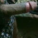 VirajRathod123