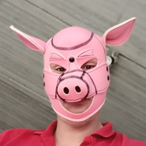 Fagster