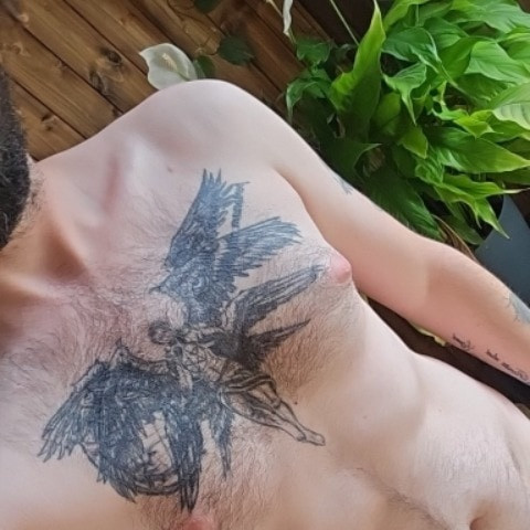 ReinPlatonisch
