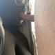 Ebony4WhitesOnly