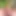 Long-Foreskin