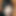 robintv2