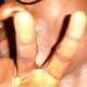sambee