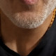 Besamer12053