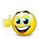 dsmhaver