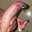 smallpenis1087