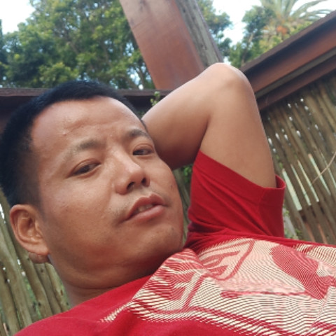 ding1008