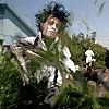 scissorhands