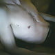stijfie25