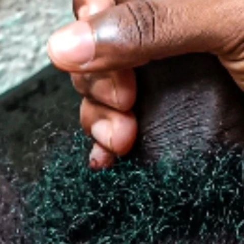 Unnichipskerala
