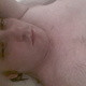 NiceGuyFFM