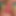 Shanali-