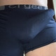 spermalecker44