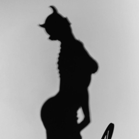 Erotioison