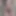 Tenporn77