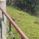 Sukarlal89570