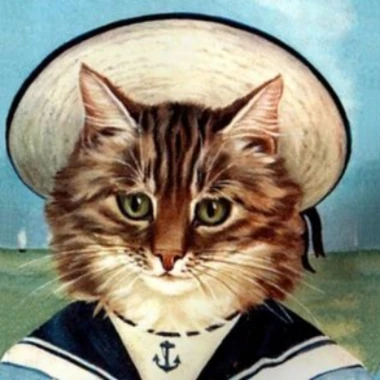 CaptainCattastic