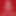 biggrussnh