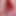 Brownbbw45